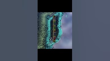 HOI4 Cursed Pictures 82