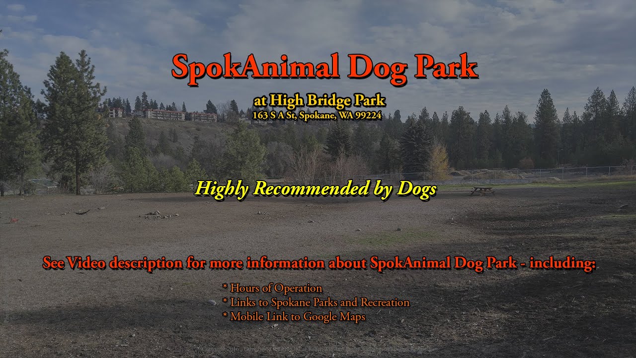 SpokAnimal Dog Park at High Bridge Park Spokane WA YouTube