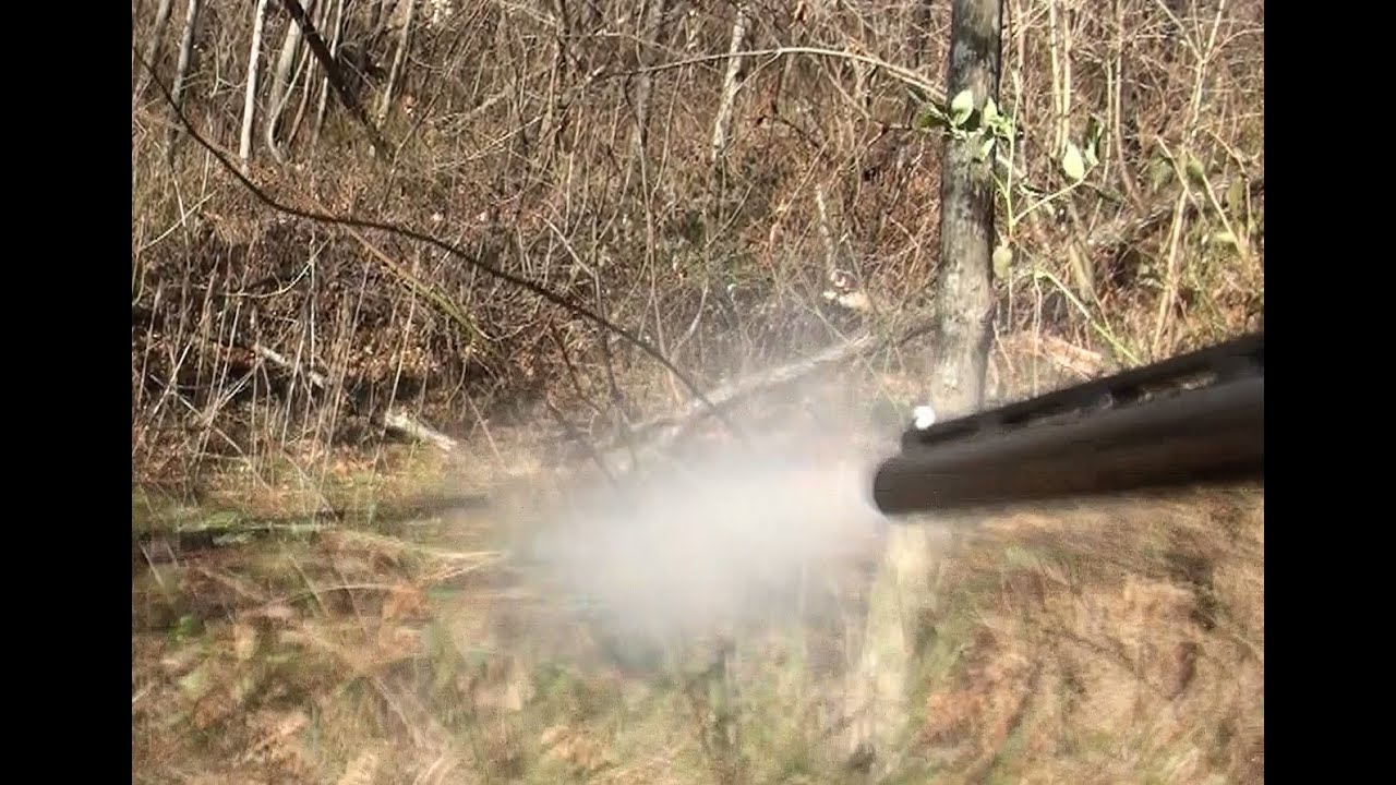 Skyview's Beagles Rabbit Hunting With Brother Don - YouTube