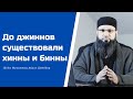 До джиннов существовали хинны и бинны. Шейх Мухаммад Абдул Джаббар