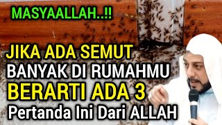 MASYAALLAH !! Jika Banyak Semut Di Rumahmu, Ada 3 Pertanda Besar Dari Allah, Jangan Sampai Dibunuh