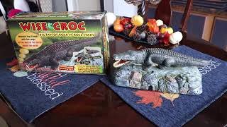 Wise Croc Singing Crocodile