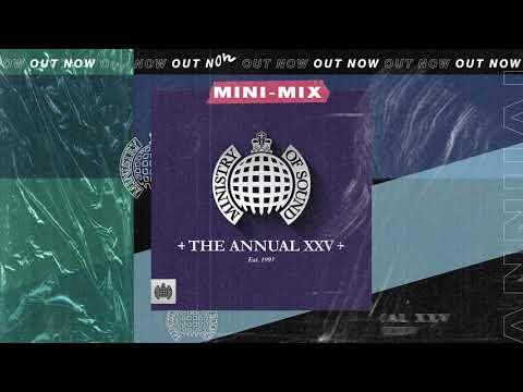 The Annual XXV (Mini-Mix)