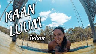 Porque Visitar la Laguna KAAN LUUM en Tulum | Viaje a Tulum 2021 | ¿Cuánto cuesta? | TIPS