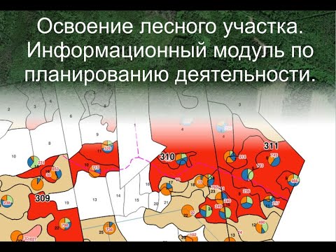 Информационный модуль "Освоение лесного участка"