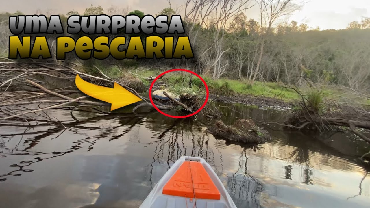 PESCA COM ISCA DE SUPERFÍCIE / Isca réplica da jackall bonnie 85 