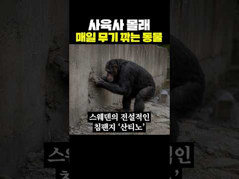 <strong>사육사</strong> 몰래 매일 무기 만드는 <strong>동물</strong>