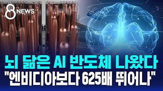 "엔비디아보다 625배 뛰어나"…카이스트가 내놓은 반도체 / SBS 8뉴스