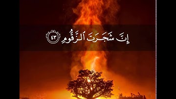 إِنَّ شَجَرَتَ الزَّقُّومِ - القارئ اسلام صبحي