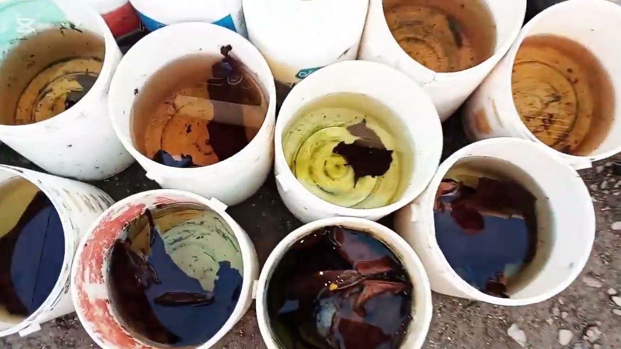 En esto de los bettas uno cómete errores observen como se tienen los alevines o crías de bettas