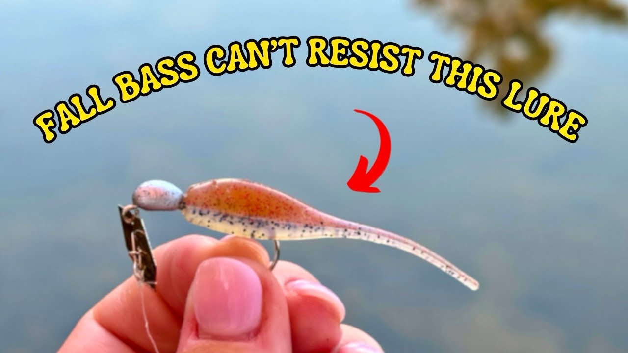 Ultralight Bass Fishing! (Micro Chatterbait)