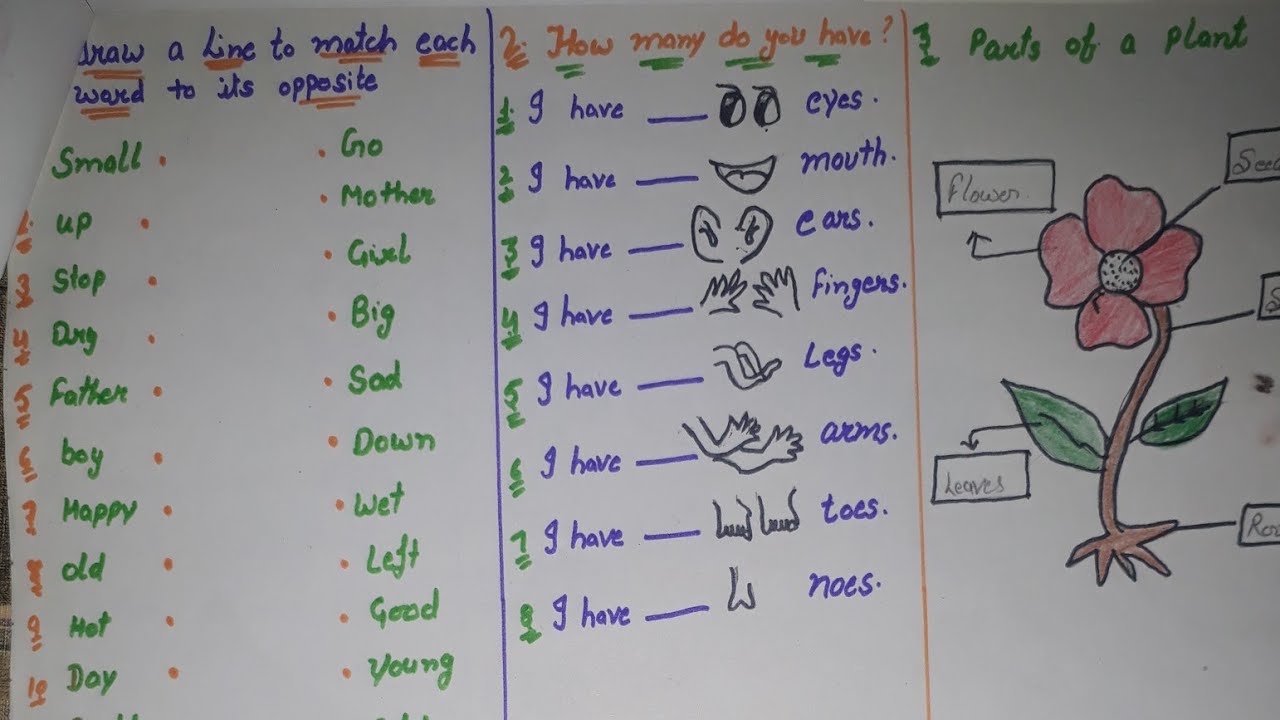english-worksheet-for-class-1st-class-1st-english-worksheet-fort-education-youtube