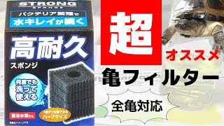 【GEX　ロカボーイ・ストロングスポンジ】濾過能力検証！亀商品ならぬ神商品です！亀のフィルター決定版、僕の亀飼育用品１番のおすすめです。【前編】