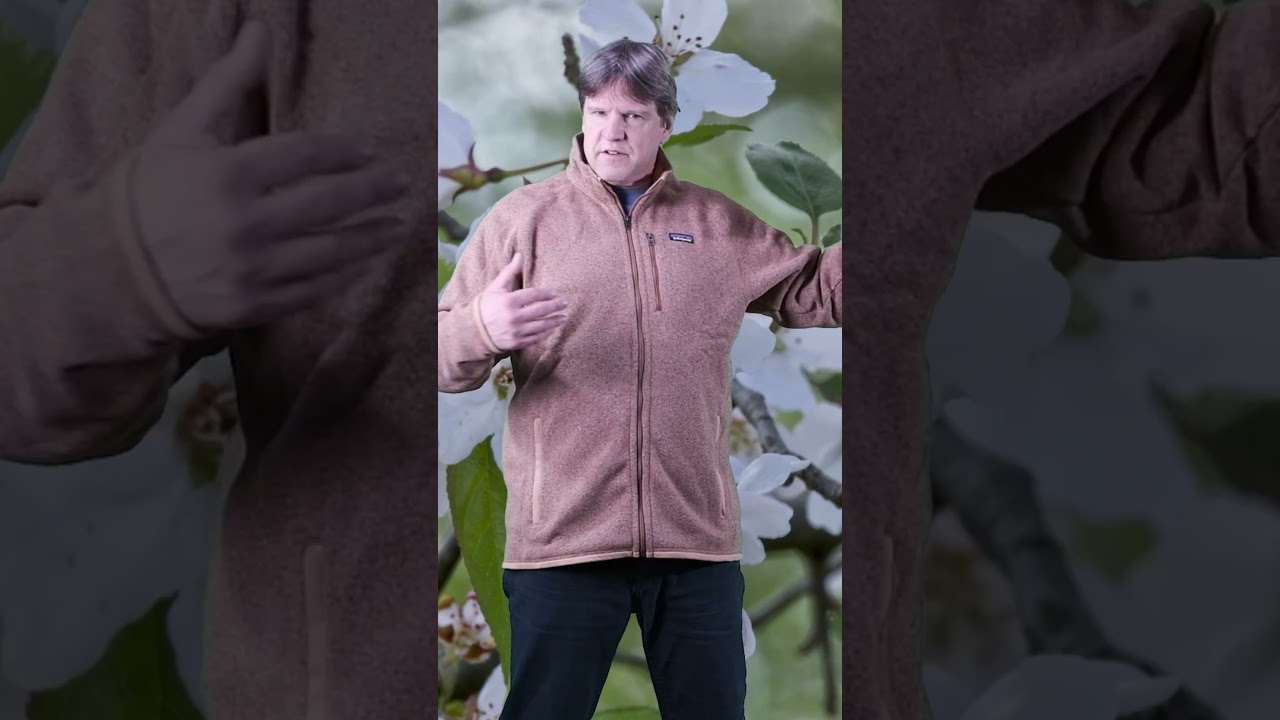 Лучший свитер Patagonia