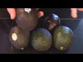 how to tell if an avocado is ripe and good or bad