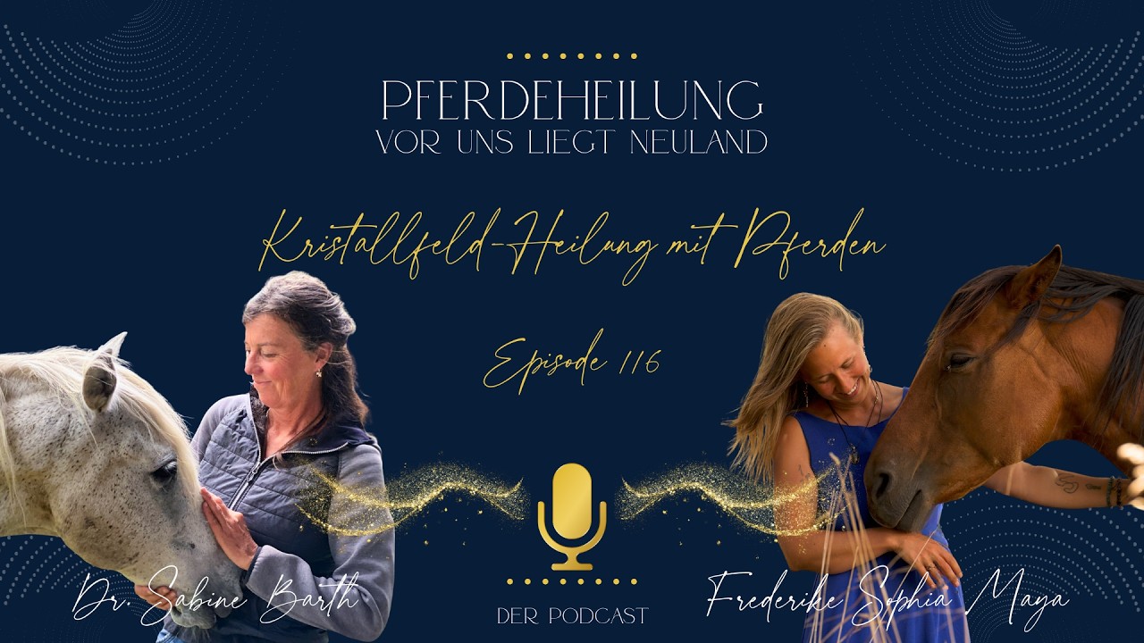 Pferdeheilung - Vor uns liegt Neuland