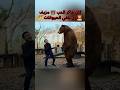 الحيوانات كانت مزيفة لكن الدب طلع حقيقي 