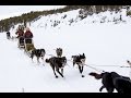 360 Degrees - Engholm Husky - 6 Day Dog Sledding Round Trip - Karasjok (Norway)