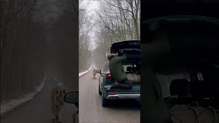 Celebrity Hiding at the Last Moment… A Tiger Was Just Steps Away Net Worth