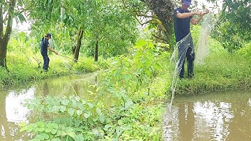 Hôm Nay Vui Với Cha Đi Ra Đồng Giăng Lưới Cá Lòng Tong Về Kho Tiêu | Vui Miền Tây Vlog