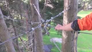 Mornington Peninsula Tree Removal Services