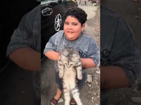 ضاضا اشتره قطة تفاصيل صادمه عن رضا اسماعيل الليثي