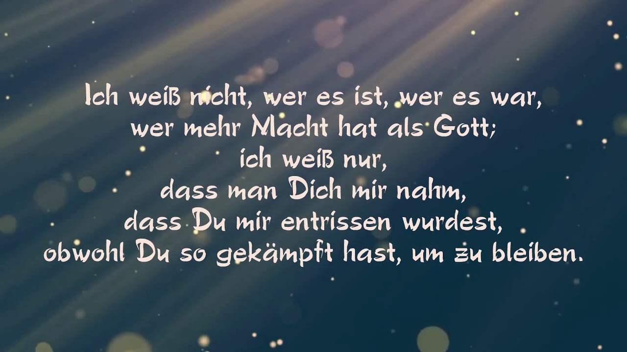 Brief ins Jenseits über die Regenbogenbrücke  - an meinen unendlich geliebten Kater Toni
