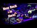 Sc aquariums 100 gallon tank update ep18 caribsea life rock