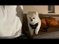一泊二日旅の未公開映像