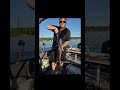lake tillery was good caught 9 #fishing #catfishing #catfish #angler #tracker