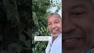 Continuando no caminho de Emaus rumo ao Cenáculo em Jerusalém