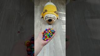 🔵 Dog 🐕 Reverse Video #marblerunandmore #asmr #funny #reversevideo