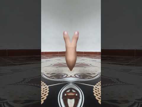 طاخ طخ طخ اربعة طلقات في المخ