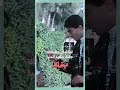 حقنة تقوم بالواجب بهاريز
