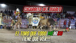 Por primera vez en MÉXICO, juega el CIGARRITO DEL DIABLO como Selección Poderosa