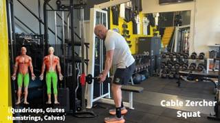 Cable Zercher Squat