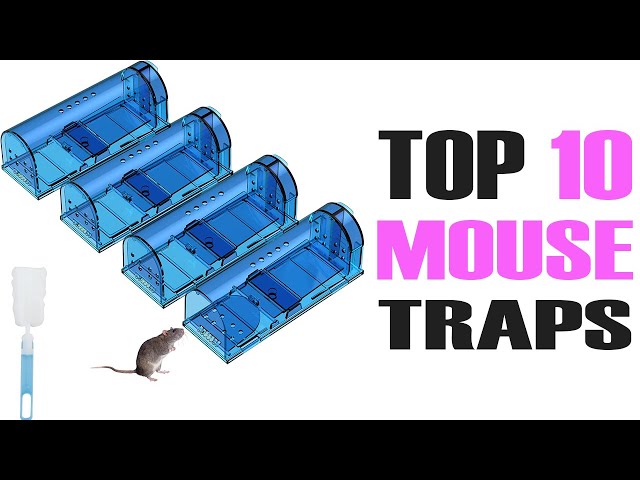 TopCat Vole/Mouse Trap From Switzerland. The Best Vole Trap I Have