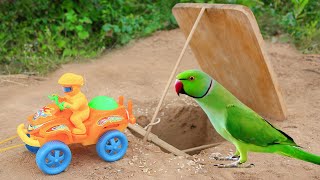 Crafting Underground Parrot Bird trap