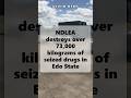 NDLEA destroys over 73,000 kilograms of seized drugs in Edo State