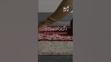 ﴾وَلَقَدْ نَعْلَمُ أَنَّكَ يَضِيقُ صَدْرُكَ بِمَا يَقُولُونَ﴿ سورة الحجر – الآية 97 #اكسبلور