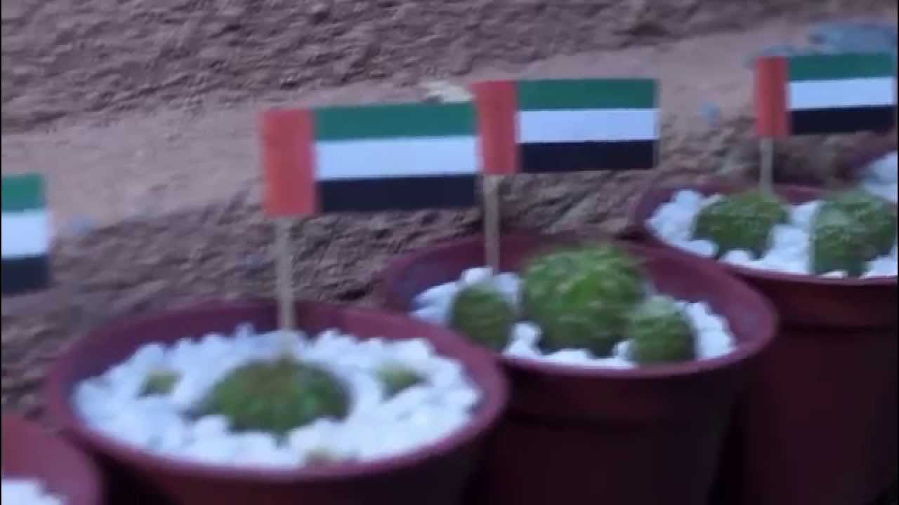 Narzif  UAE National Day