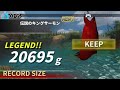 【レジェンダリーフィッシング】【釣り】激闘、伝説のキングサーモン!【Legendary Fishing】【PS4】