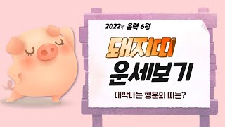 2022년(임인년) 대박나는 띠별 음력 6월 운세_돼지띠(28, 40, 52, 64세)_소름돋는 인천 점집(…