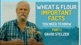 Wheat & Flour - Important Facts You Need to Know: A Masterclass with David Stelzer (Part 1 of 2)