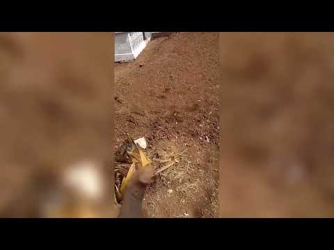 Remember That Day In Masama Kilimanjaro April And March 2025 By Nyamtamba Nyamtamba 