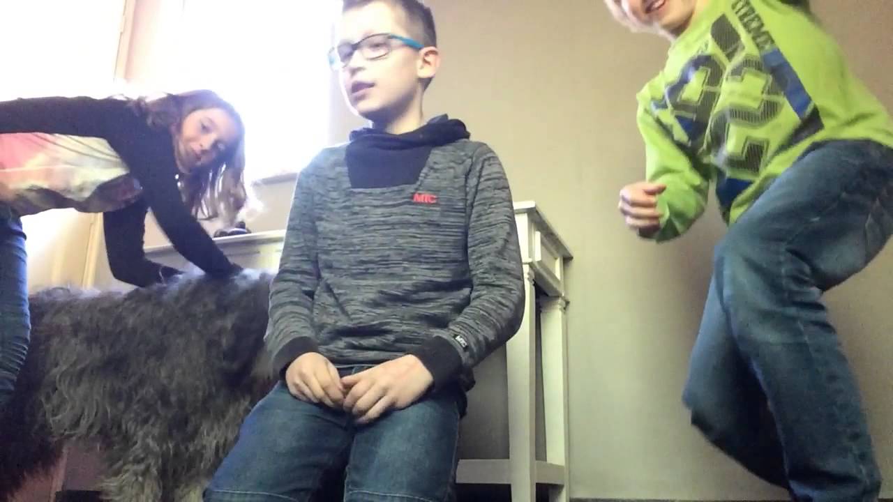 Kunstjes met Nora de hond - YouTube