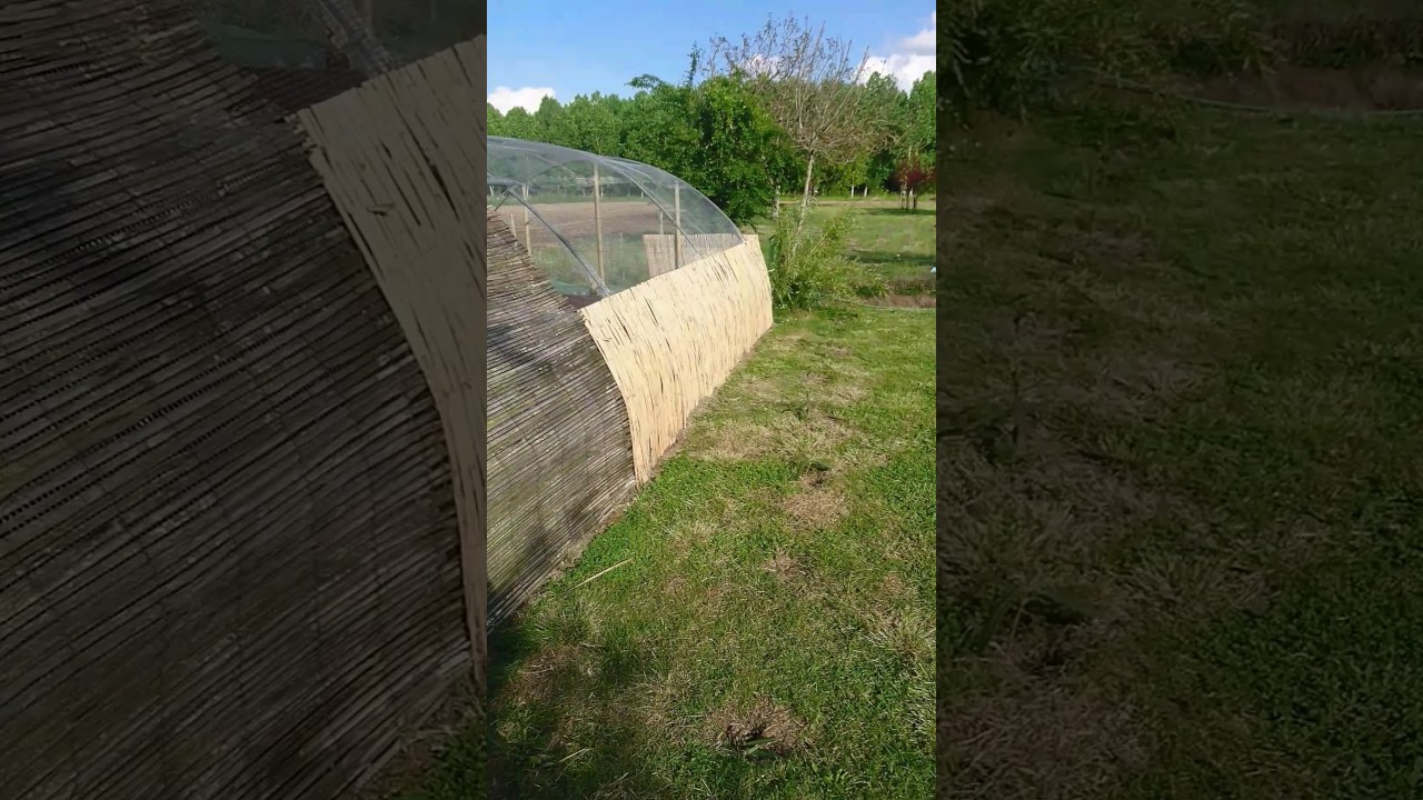 Voliere Exterieur Fait Maison | Ventana Blog