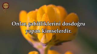 Mearic Suresi Hazza Al Balushi