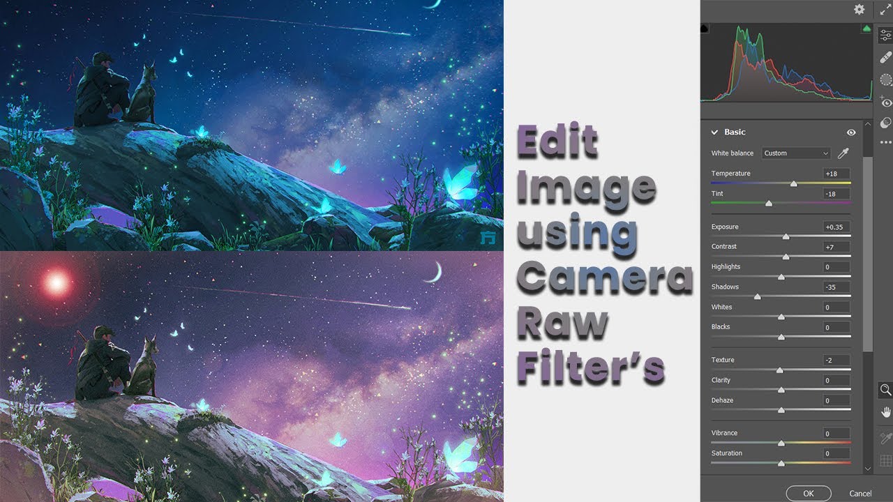 How to Edit Photo with Adobe Camera Raw Step by Step Tutorial (Adobe ...