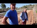 Secreto de tomateras plantamos el huerto de verano para casa